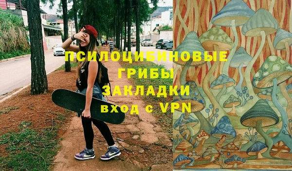 герыч Алексин