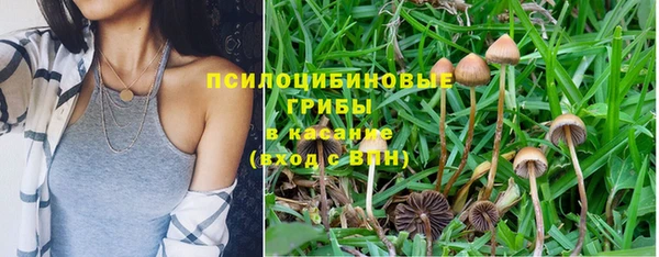 герыч Алексин
